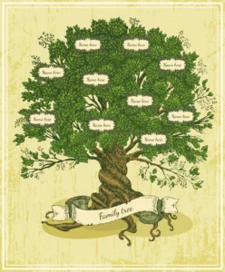 Tipos de árbol genealógico